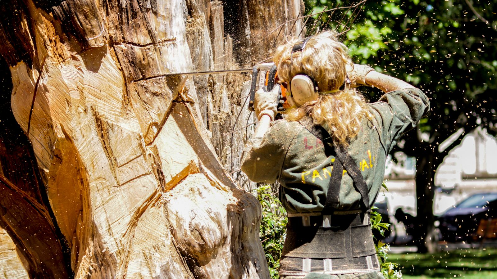 Tree surgeon cutting a trunk section with a chainsaw